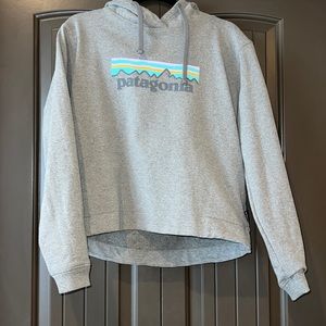 Patagonia hoodie gray